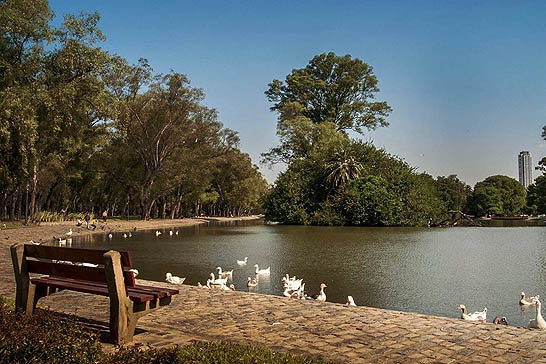 Explora los encantos ocultos de los Bosques de Palermo