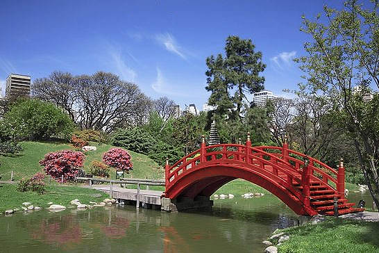 Explora los encantos ocultos de los Bosques de Palermo