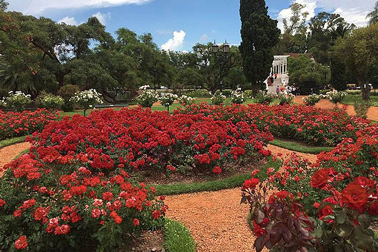 Unveiling the hidden charms of Bosques de Palermo (Palermo woods)