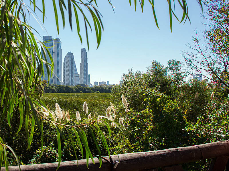 2 hermosos parques que exploraremos en Buenos Aires